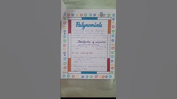 polynomial Maths #project simple and decorative #portfolio for 9/10