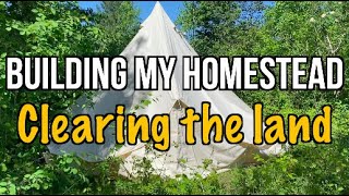 Building My Homestead - Clearing The Land - Relaxing Guitar by Will Magner 140 views 1 year ago 3 minutes, 49 seconds