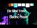 The Silent Trees: &quot;Harvest Moon_Dear Prudence&quot; - Worcester, MA - 2/28/2014