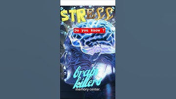 Top Neuroscientist Reveals BEST Memory Techniques