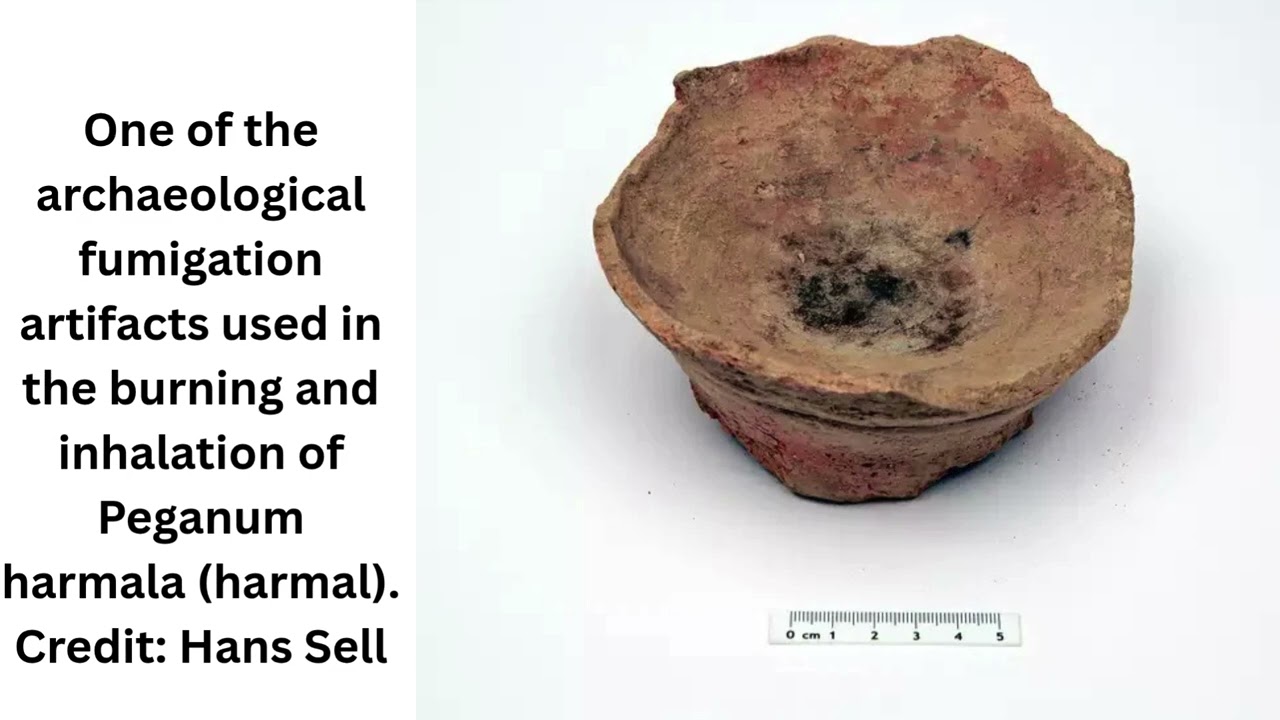 Earliest Direct Evidence of Psychoactive Plant Use in Iron Age Arabia Identified in Tomb at Qurayyah
