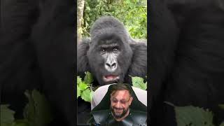 Animais sem predadores naturais #biologohenrique #animais #bichoesperto #biologo