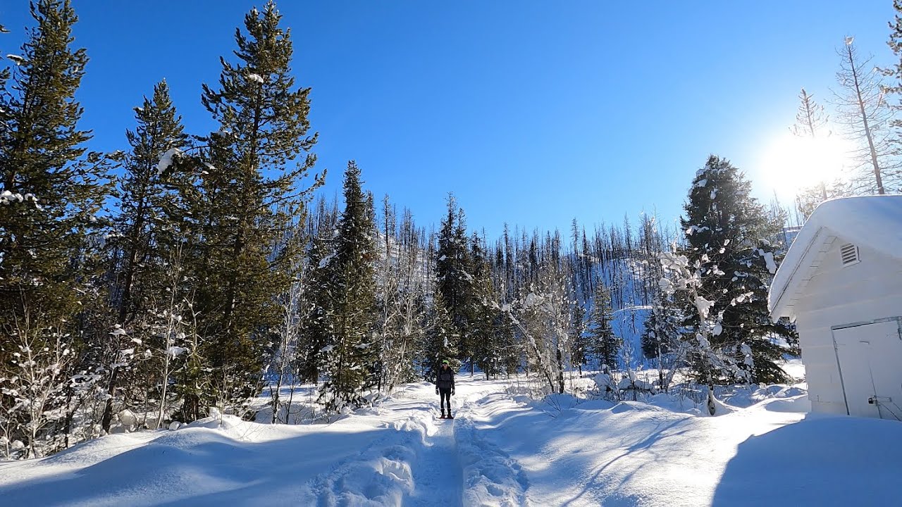 Snowshoeing Beaver Creek - Adventure Idaho