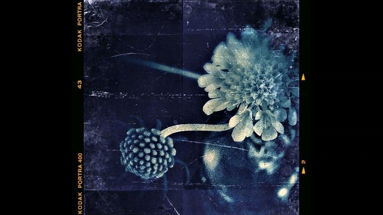 [FREE FOR PROFIT] Post Malone x TheWeeknd Type Beat - Shivers