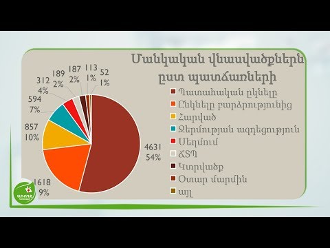 Video: Կատուներից վնասվածքների կանխարգելում