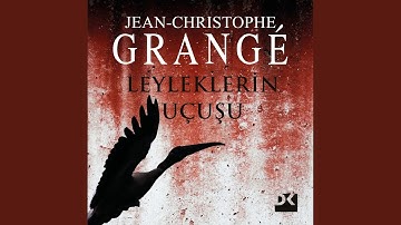 Chapter 46.3 - Leyleklerin Uçuşu