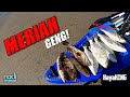 LETAK MAKAN LETAK MAKAN! MERIAH GENG! | Kayak Fishing ZERO to HERO! v56