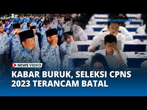 Kabar Buruk dari BKN, Seleksi CPNS 2023 Terancam Batal, Ini Penyebabnya