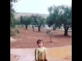 برد سوريا 