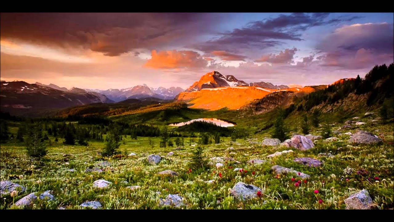 Kyaku Kyadaff                          Entre 7 & 7 Rosas