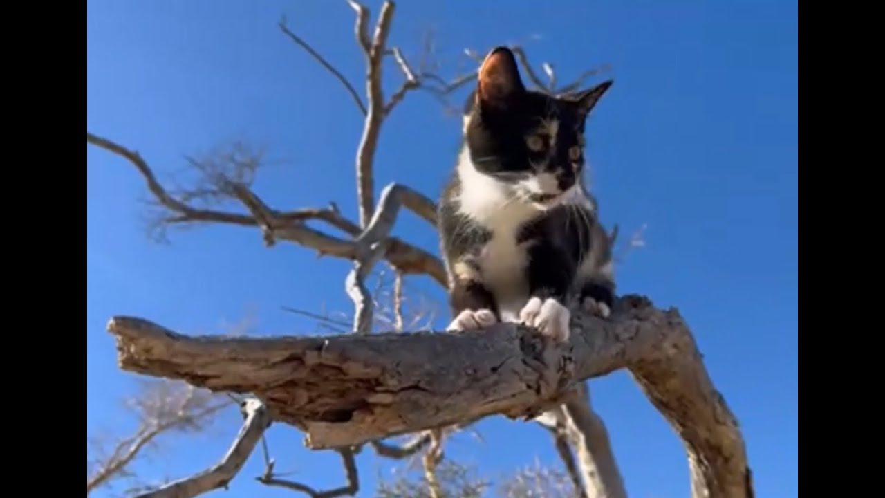 Warsaw HS class of 70 classmate visits! Laposa South 2023