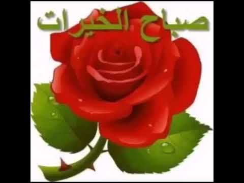 صباح الخير بنات