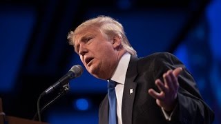 Donald Trump Operates Stingy 401(k) Plan for His Workers Donald Trump Operates Stingy 401(k) Plan for His Workers