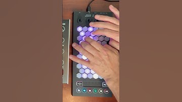 Intuitive Instruments Exquis   #synthesizer #intuitiveinstruments #exquis
