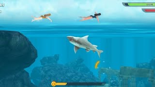Shark attack beach video game - Shark beach #game #game video #2024 # screenshot 4