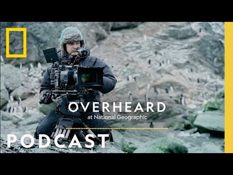 Inside the Epic World of Bertie Gregory | Podcast | Overheard at National Geographic