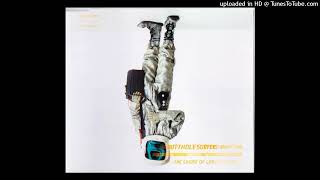 Butthole Surfers ~ The Shame of Life (Radio Edit)