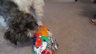 Madison Refuses A Present??