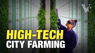 Why the Future of Farming is in Cities  The Big Money in Vertical Farming