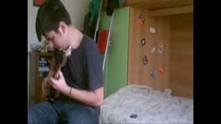 Liars and Sellers guitar cover