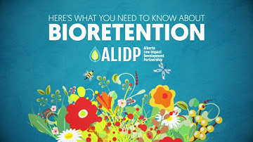 Bioretention Explained in 3 minutes
