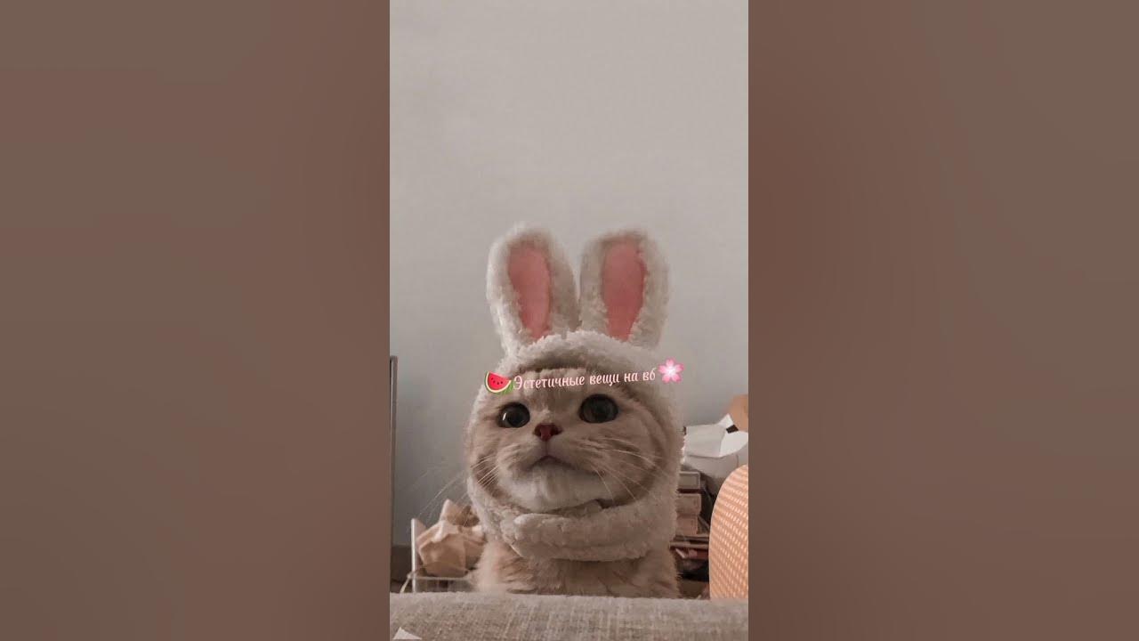 Эстетичные вещи с ВБ 💞 - YouTube