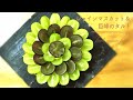 シャインマスカットと巨峰のタルト | Tarte raisin frais | Muscat&Kyoho fresh grapes tart 🍇【作り方】