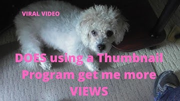 Cinch Gopher Trap VS GopherHawk Trap for GOPHERS