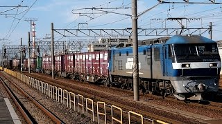 2016/09/10 JR貨物 1062レ EF210-145 名古屋貨物ターミナル駅
