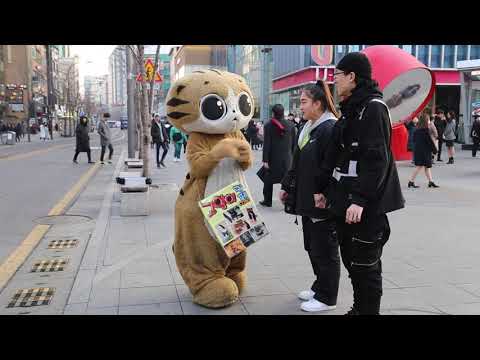 JHKTV] 신촌 명물고양이 궁금해  shin <strong>chon</strong> special <strong>cat</strong>  curious.