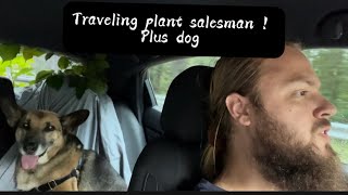 How I make money as a traveling plant salesman in the fall