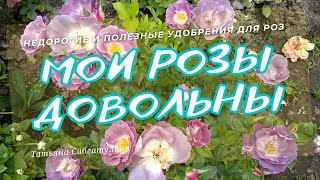 видео: Не дорогие, но полезные удобрения для роз. картинка: Не дорогие, но полезные удобрения для роз.