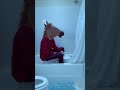 Horse Rolled
