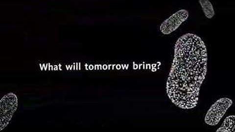 TED2008 The BigViz Animation