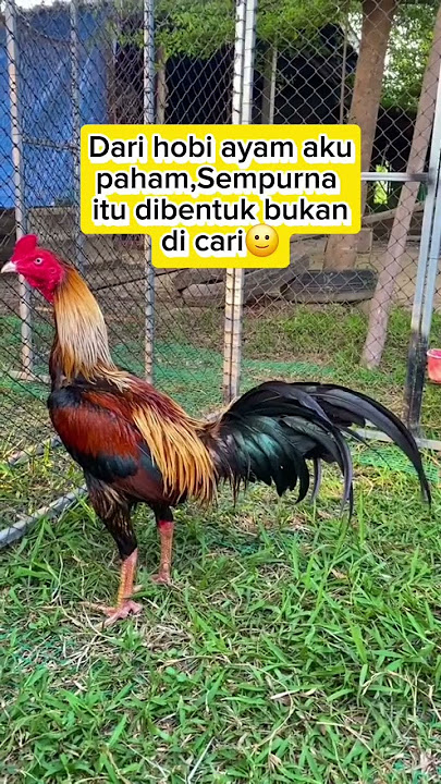 sempurna itu di bentuk bukan di cari