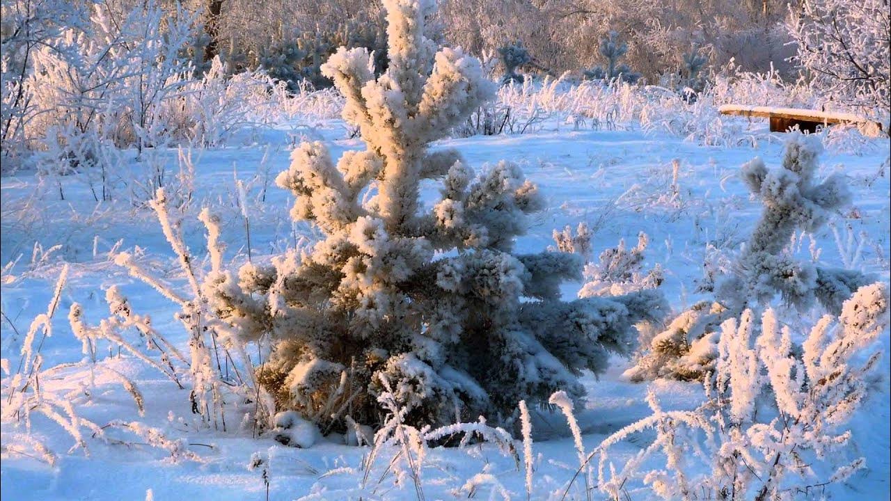 На ютубе видео зимняя. На ютубе видео зимняя. Зимние забавы для детей видео видео. На ютубе видео зимняя. Зимний фон для видеоролика.