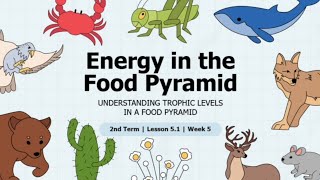 Science 7 Week 5 Trophic Level & Food Pyramid