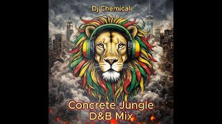 Drum and Bass Ragga Concrete jungle vinyl mix 2026 #drumandbass #jungle #raggariddim 