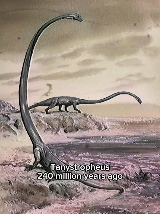 4 extremely strange extinct animals #prehistoric #extinctanimals #dinosaur