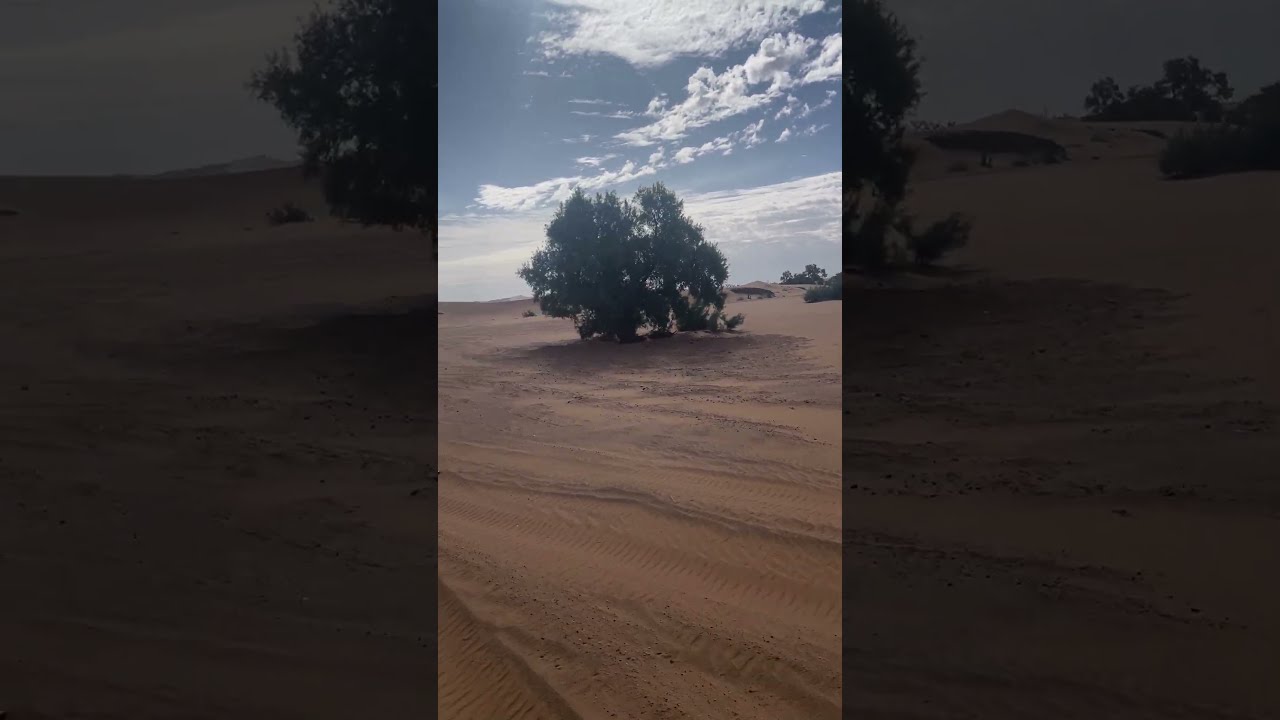 Atravesando el desierto | Dia de descanso | Aventura en bici por Marruecos