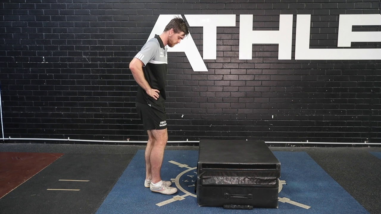 Single Leg Sissy Squat To Box (Advanced Knee Strength)