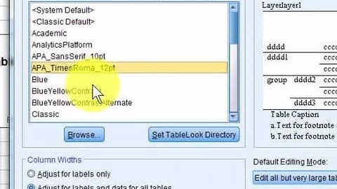 SPSS output to APA Formatting - version 26