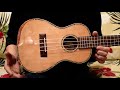 NEW/DCT DUC-450 CONCERT@ukuleleshoptantan