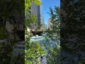 You’ve Never Seen the Chicago Skyline Like THIS 👀
