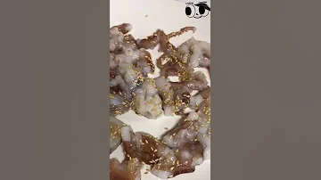 Can you eat ALIVE Octopus 🐙