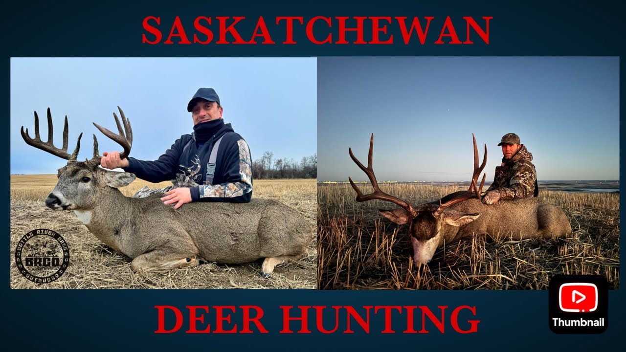 What Is A Class 7 License In Saskatchewan