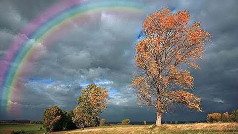 Tô màu chuyển sắc (Gradient)_Vẽ Cầu Vồng #dohoamaytinh #thietkedohoa