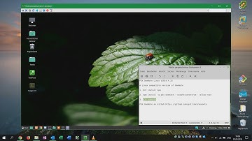 How to Run OneNote on Linux Desktop