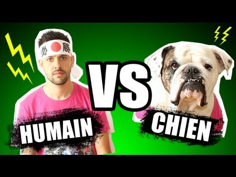 Humain vs Chien - les étranges expériences - YouTube Humain vs Chien - les étranges expériences - YouTube