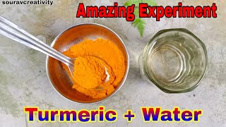 2 Easy Science Experiment To Do At Home || School Science Experiments || turmeric + water=? screenshot 3